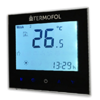 termoregulator.png